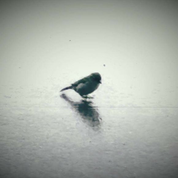 Meet your Posher, Merrell - Picture 1 of 1